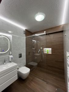 奥赫里德迪斯利维斯基别墅的带淋浴、卫生间和盥洗盆的浴室