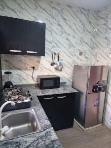 伊洛林Mirola Apartments的厨房配有水槽和不锈钢冰箱