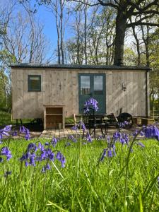 佩特沃斯Coachroad Shepherds Huts的紫色花花园里的一个小房子