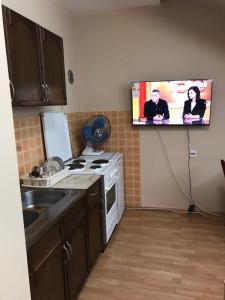 里巴斯卡班亚Apartman Spasic的厨房设有挂在墙上的电视