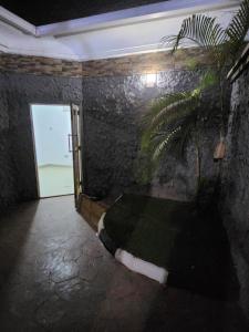阿布贾Cozy Residence Abuja的一间房间,有门和植物