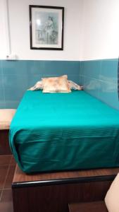 略夫雷加特河畔奥斯皮塔莱特Coliving 87 Estudio Numero 10的一张大绿色的床