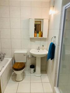 约翰内斯堡Afrikawisa@Rosebank的一间带卫生间和水槽的浴室