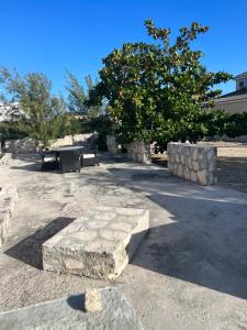 普罗维登西亚莱斯岛R & A turquoise Rental的一座公园,公园里设有石凳和一棵树
