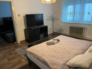 顺佩尔克TENNIS LIFE ŠUMPERK的一间卧室配有一张床和一台平面电视