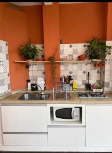 弗洛里亚诺波利斯Vibe House Hostel的厨房配有水槽和微波炉