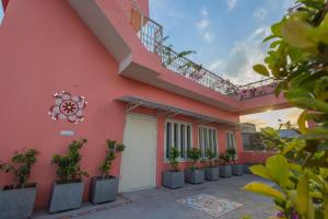 斋浦尔Sheel Mahal- Near Hawa Mahal的前面有盆栽植物的粉红色房子