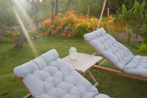 Relax & Travel的院子里放着鲜花,放着两把椅子和一张桌子