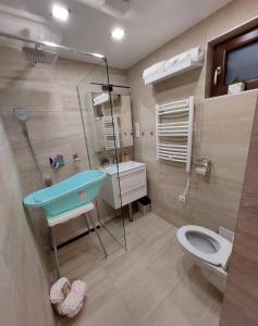 韦赖谢吉哈兹Dénár Apartman的浴室配有蓝色水槽和卫生间。