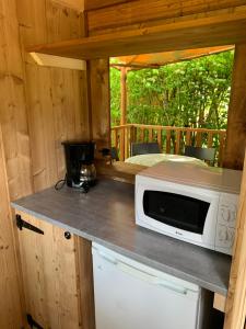 阿克和瑟南Camping La Saline d'Arc et Senans的小屋内带微波炉的厨房