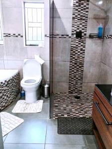 塞昆达Reutlwane Gardens house的一间带卫生间和淋浴的浴室