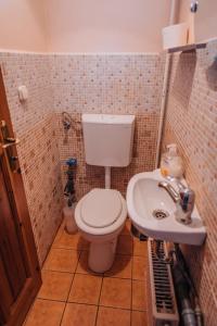 SzendehelyPanorama Vegapansion的一间带卫生间和水槽的小浴室