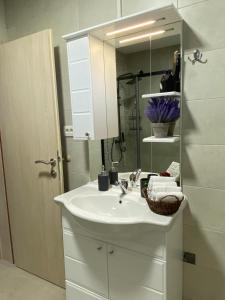 莫斯塔尔Apartmani Pranić的白色的浴室设有水槽和镜子