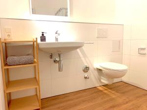 科隆Apartment in Köln / Cologne mit allem drum und dran的一间带水槽和卫生间的浴室
