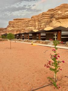 瓦迪拉姆Revan Rum Luxury Camp的沙漠中一座有山的建筑