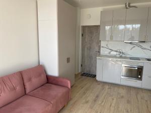 帕兰加Kunigiškiai Mano Jūra2 apartamentai的带沙发的客厅和厨房