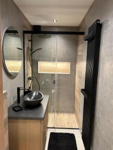 布永热尔内勒度假屋的一间带水槽和淋浴的浴室
