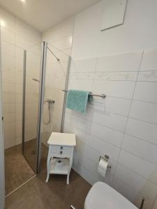 奥茨塞巴德·迪尔哈根LeinenLos im Kajüting的带淋浴、卫生间和盥洗盆的浴室