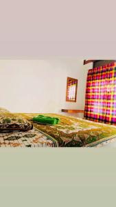阿鲁甘湾Sanity Door Rooms and Hostel的一间卧室配有一张带绿色棉被的床