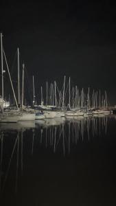 里斯本Waterlife的一群船在晚上停靠在水中
