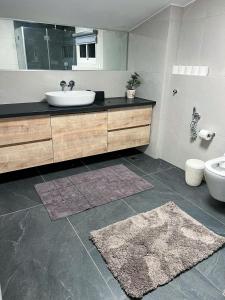 提比里亚פנטהאוז השומר的一间带水槽、卫生间和镜子的浴室