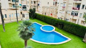 阿尔比尔Palatino Albir的一个带游泳池和棕榈树的公寓