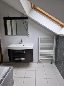 Métairies-Saint-QuirinAppartement dans Maison en pleine campagne的一间带水槽和镜子的浴室