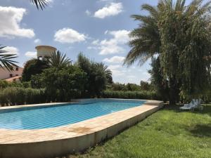 阿加迪尔Tiguimi Vacances - Oasis Villas, cadre naturel et vue montagne的棕榈树花园中的游泳池
