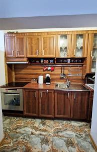 大特尔诺沃ViPo Vista Veliko Tarnovo的一个带木制橱柜和水槽的厨房