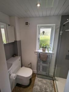 爱丁堡En-suite double room with private entrance的一间带卫生间和窗户的小浴室