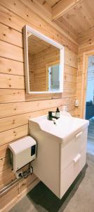 ListerbyTiny houses Liv & Lea的一间带水槽和镜子的浴室