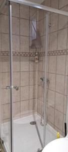 蓬塔阿雷纳斯Departamentos Kitkaika的浴室里设有玻璃门淋浴