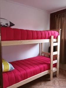 乌斯怀亚DeMiLo casa a una cuadra del centro de Ushuaia的双层床的下铺配有红色靠垫