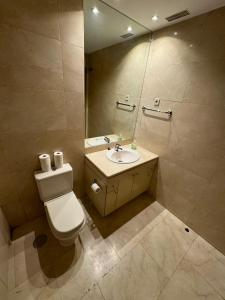 马德里Hotelly Atocha的一间带卫生间、水槽和镜子的浴室
