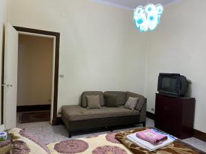 开罗Beautiful apartment in the heart of cairo的带沙发和电视的客厅
