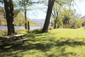 HintonRiverfront Property in NRG National Park near Sandstone Falls- Wi-Fi, Pet-Friendly的坐在湖边草地上的木头野餐桌