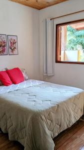卡西米鲁-迪阿布雷乌Pousada Casa da montanha的一间卧室设有一张大床和窗户