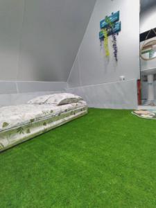 An Vĩnh PhướngHomestay Hang Câu的一间卧室配有床和绿色地毯