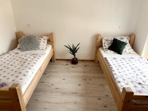 ŽárUbytování JANOVKA的一间卧室设有两张床和盆栽植物