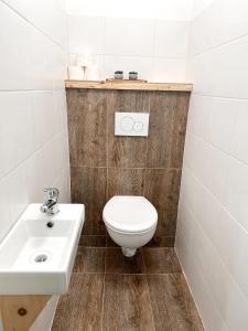 ŽárUbytování JANOVKA的一间带卫生间和水槽的浴室