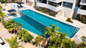 埃尔利海滩Azure Sea Whitsunday Resort的棕榈树建筑中游泳池的顶部景色