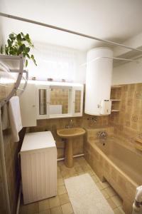 福纽德Margo Apartman的带浴缸、盥洗盆和卫生间的浴室