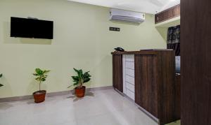 加尔各答Hotel Park Central的一间拥有两株盆栽植物的房间和墙上的电视