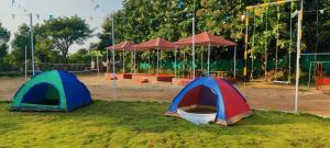 MansarMahuli Agro Tourism的公园草地上的两个帐篷