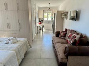 圣加利尼Vrachos Luxury Home 3, private pool!的带沙发的客厅和厨房