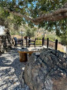 圣加利尼Vrachos Luxury Home 3, private pool!的树下野餐桌和两把椅子