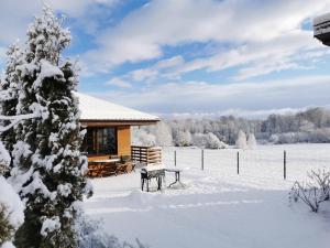 叶尔加瓦''Ābeļdārzs''的小木屋,雪地里设有野餐桌