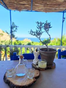 阿彻奇洛斯Aegean Serenity - Sea View Retreat的桌子上放着一棵盆子和眼镜