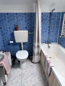 图尔恰Casa Trandafirilor的蓝色的浴室设有卫生间和浴缸。