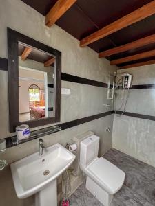 高尔Light House View Inn - Galle Fort的一间带水槽、卫生间和镜子的浴室